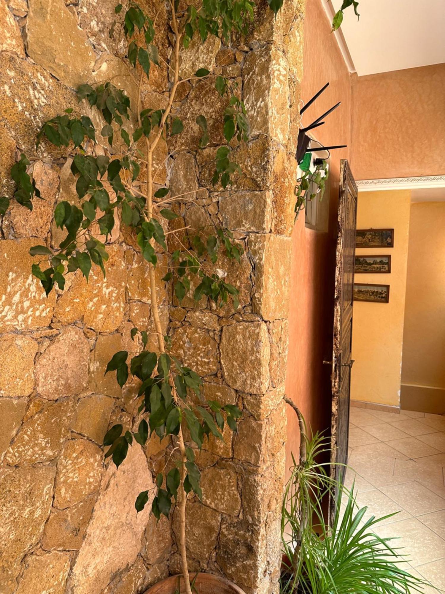 Europa Mirlef T Aventur Guest House Mirleft Exterior photo